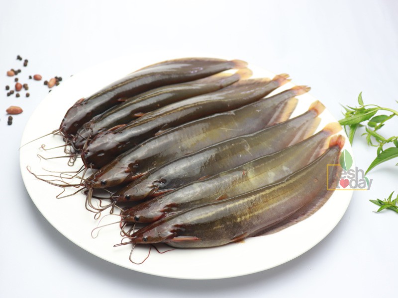 Fresh Bangladeshi Shing fish (±20g) 1kg