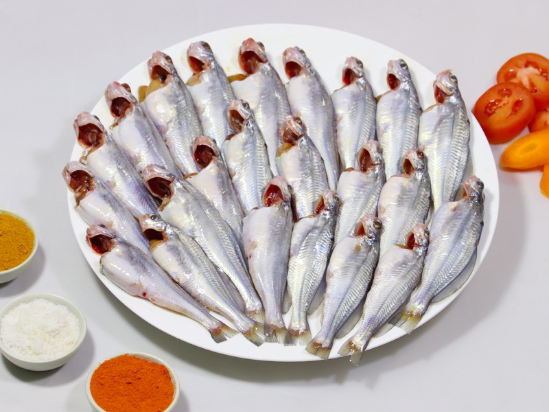 Gulsha (Cleaned)(Big Size) 400gm