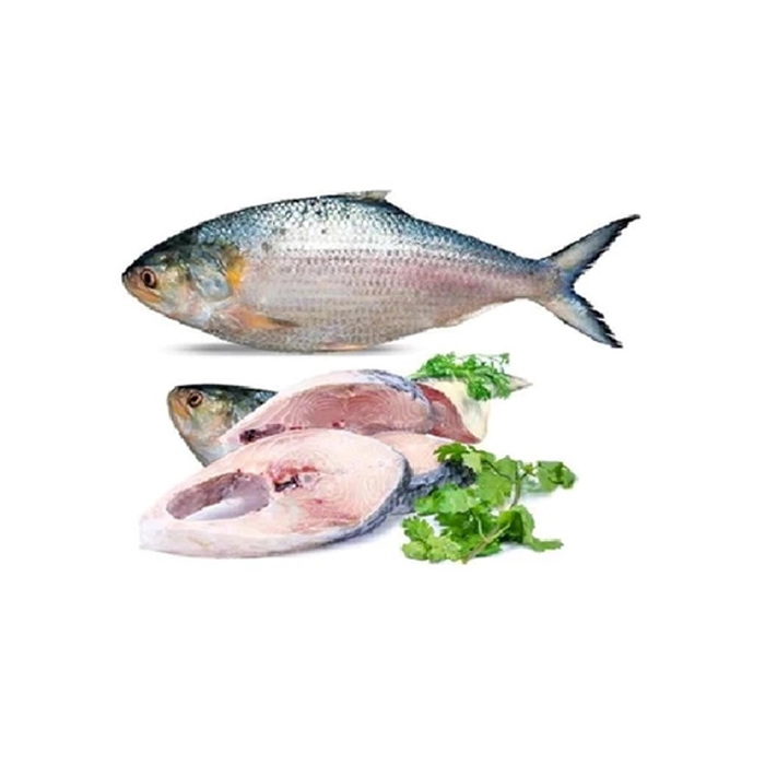 Hilsha Fish Cut 500g
