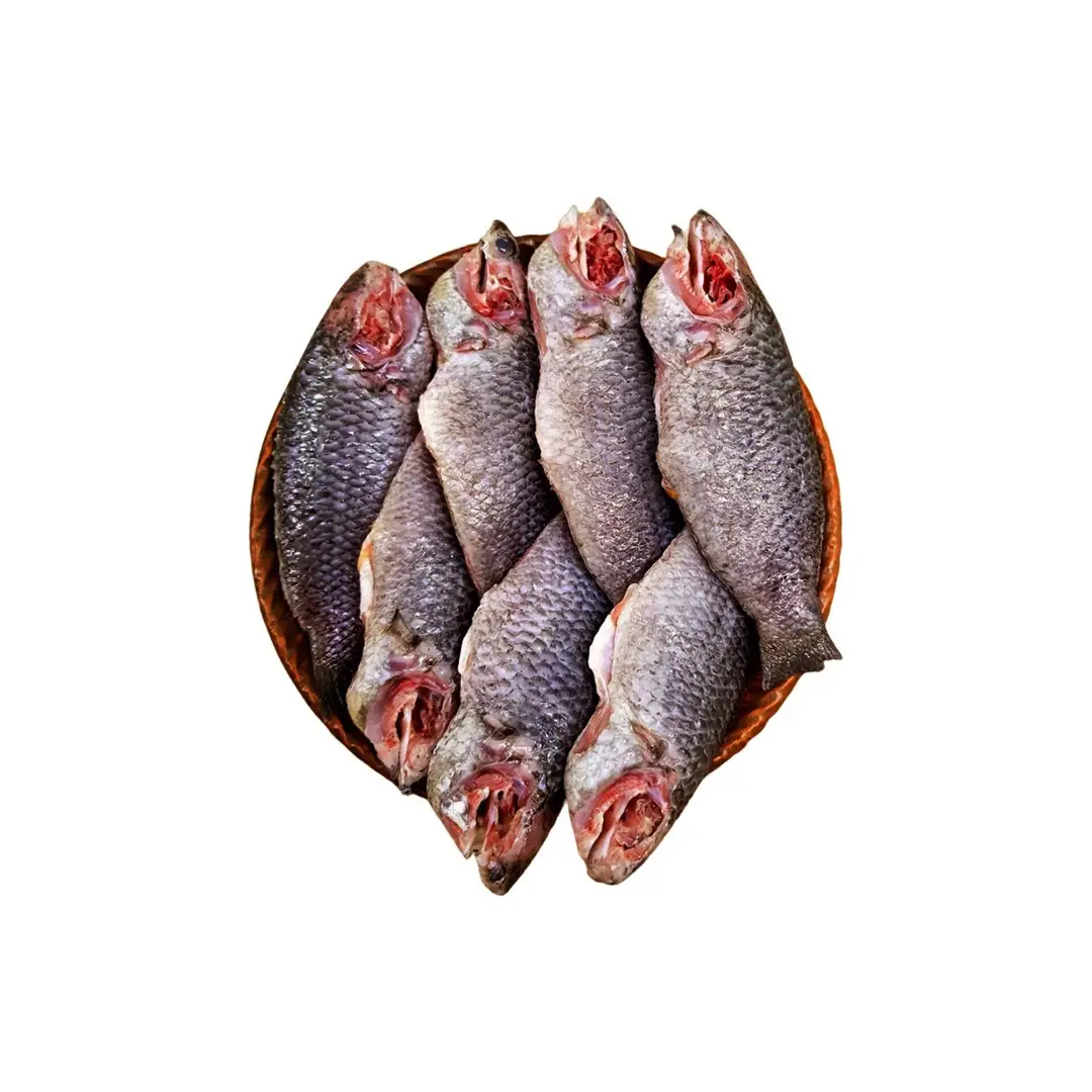 Fresh Koi Fish Processed 500g
